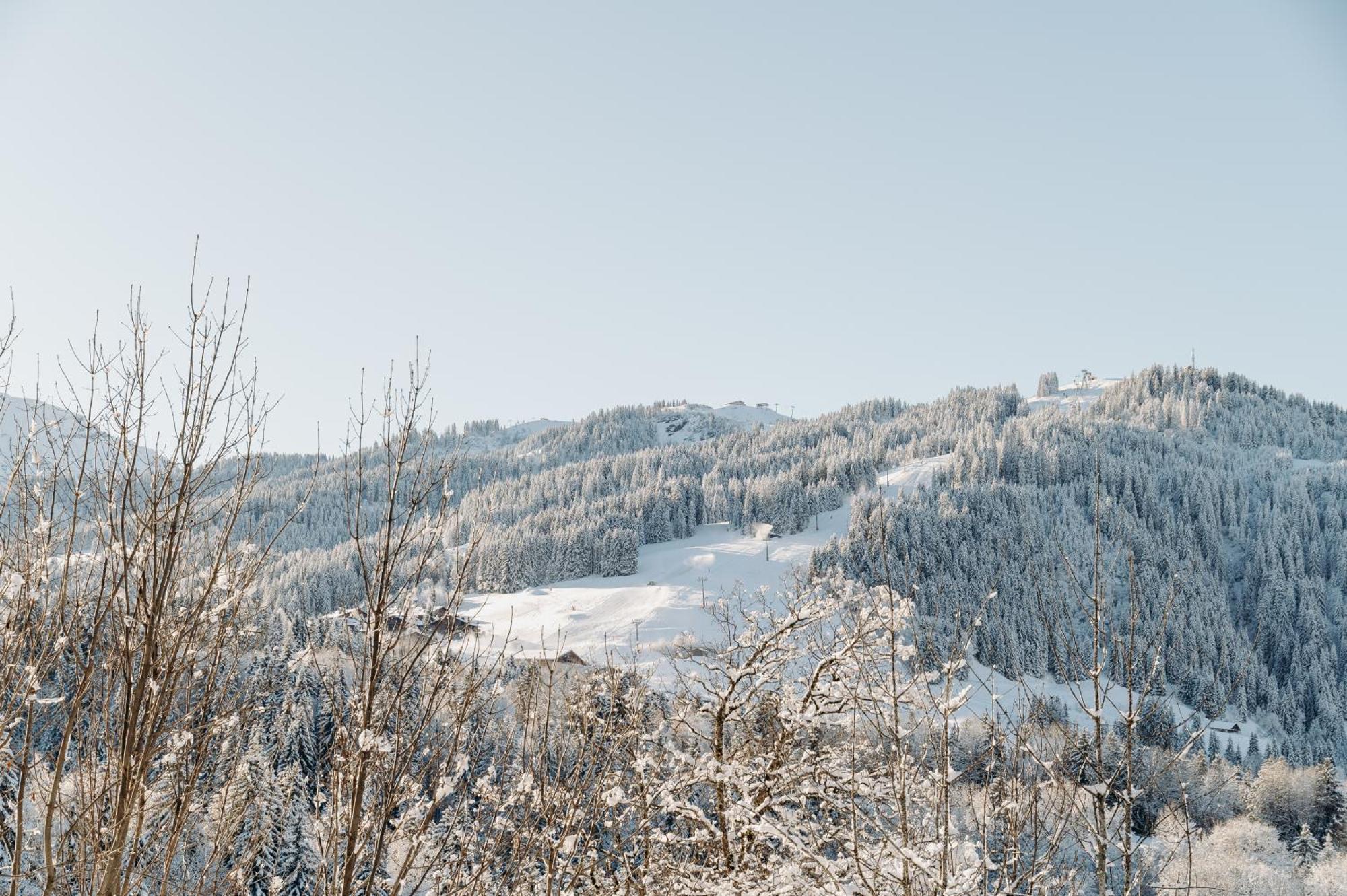 Les Chalets Du Mont D'Arbois & Spa, Megève Exterior foto
